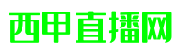 西甲直播网